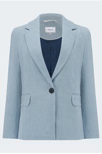 stripe blazer in chambray