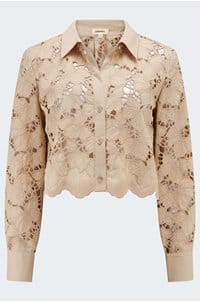 seychelle lace cropped blouse in almond