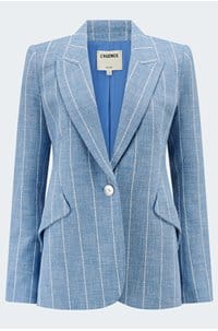 chamberlain pinstripe blazer in sky blue white