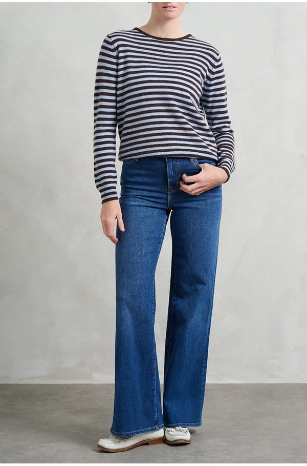 little stripe crew in pluto arctic