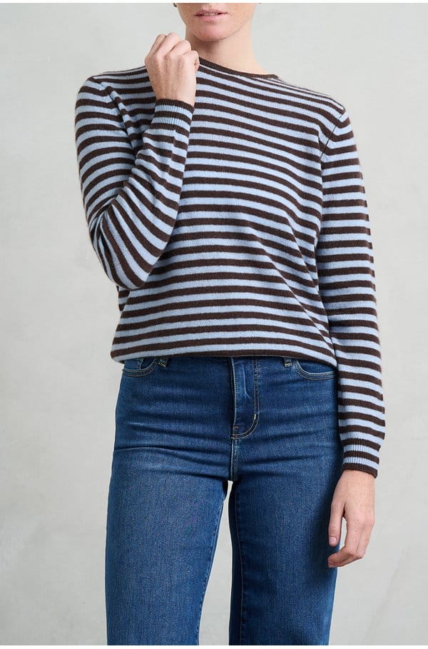 little stripe crew in pluto arctic