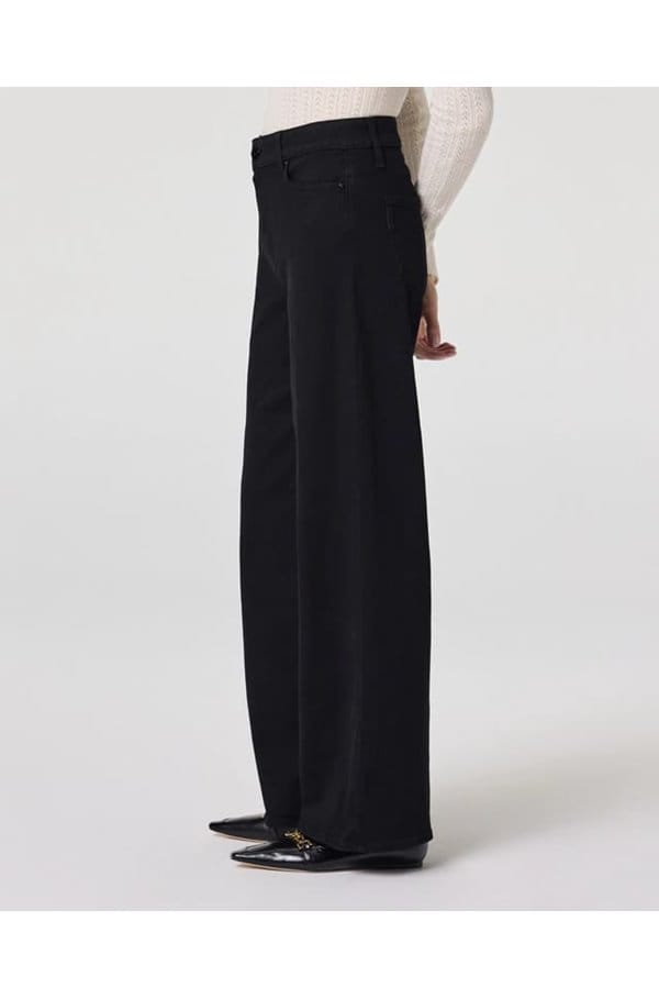 anessa 31 wide jean in black shadow