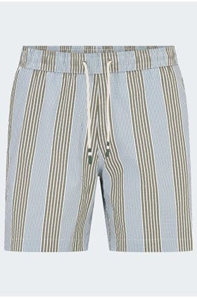 Swim Shorts in Green