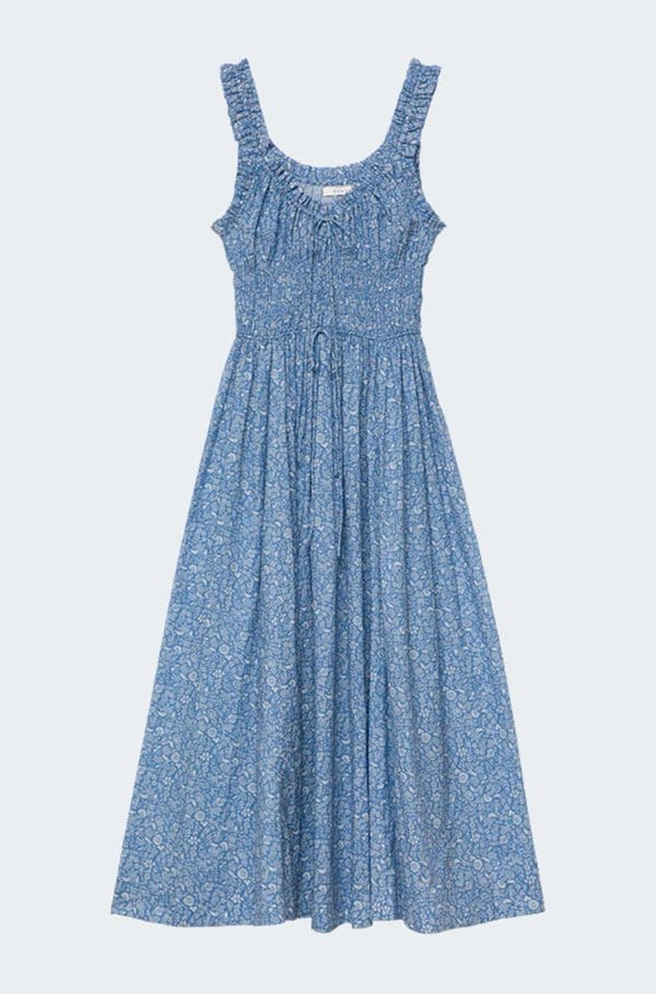 emmaretta dress in blue garden bloom