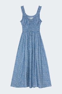 emmaretta dress in blue garden bloom