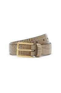 snake belt in mushroom