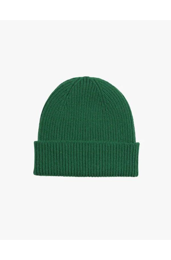 beanie hat in kelly green