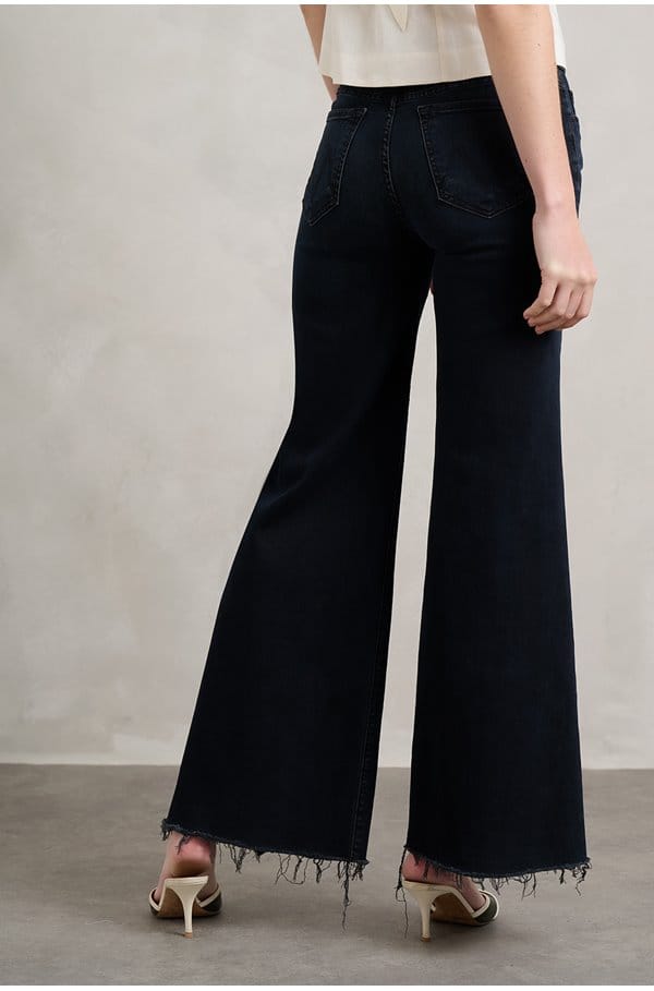 the roller fray in night in venice