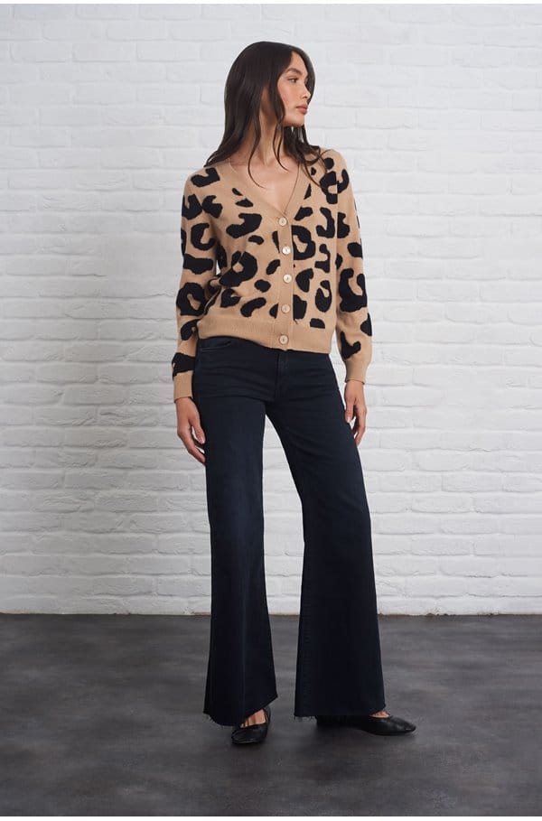 the roller fray in night in venice