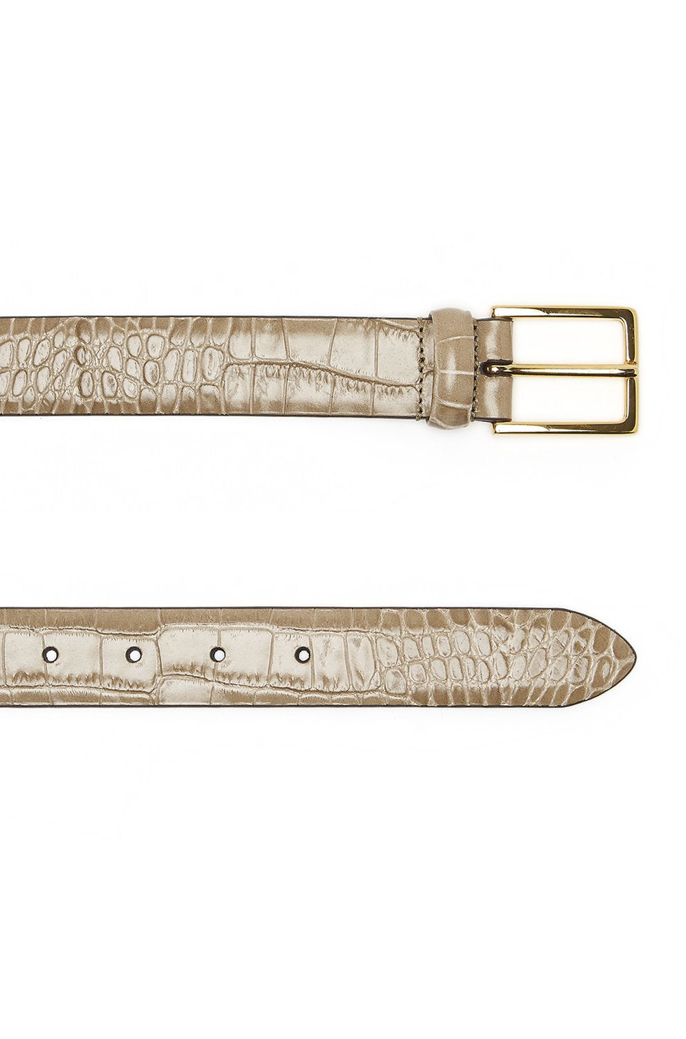 Snake Belt in Mushroom