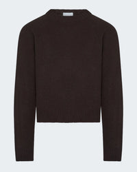 Cashmere Long Sleeve Crew in Chocolate