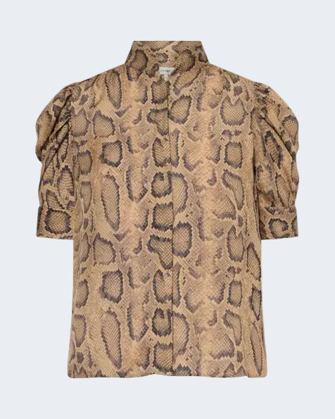 The Gillian Top in Cocoa Python
