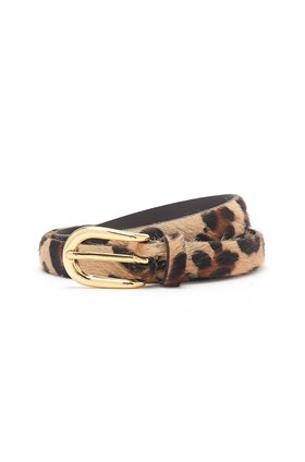 narrow belt in animal