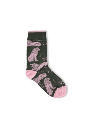 socks in circe
