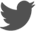 Twitter icon